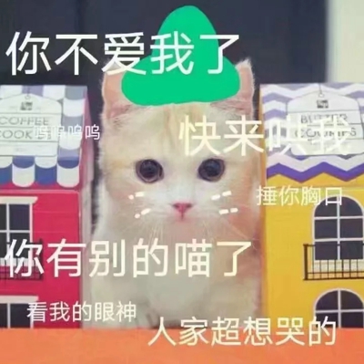 猫咪表情包带字图片大全 猫咪表情包可爱图片