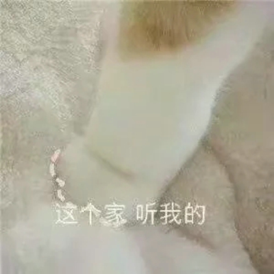 猫咪表情包带字图片大全 猫咪表情包可爱图片