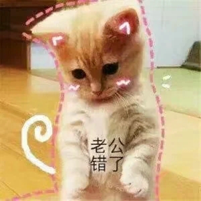 猫咪表情包带字图片大全 猫咪表情包可爱图片
