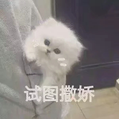 猫咪表情包带字图片大全 猫咪表情包可爱图片