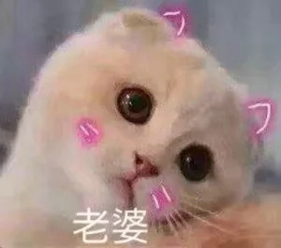 猫咪表情包带字图片大全 猫咪表情包可爱图片