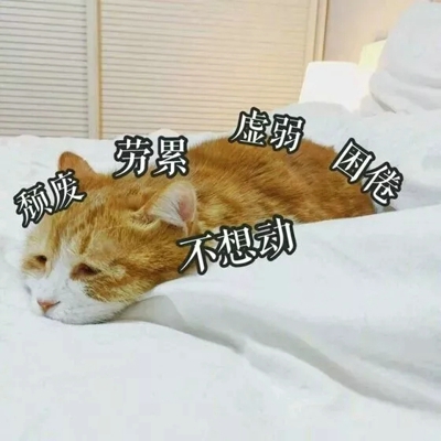 猫咪表情包带字图片大全 猫咪表情包可爱图片