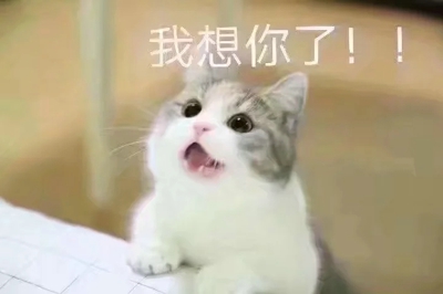 猫咪表情包带字图片大全 猫咪表情包可爱图片