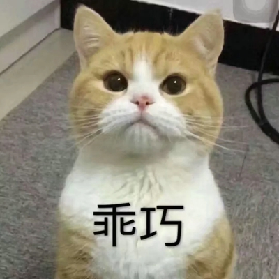 猫咪表情包带字图片大全 猫咪表情包可爱图片
