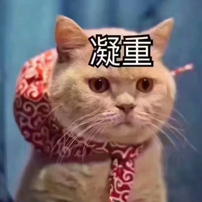 猫咪表情包带字图片大全 猫咪表情包可爱图片
