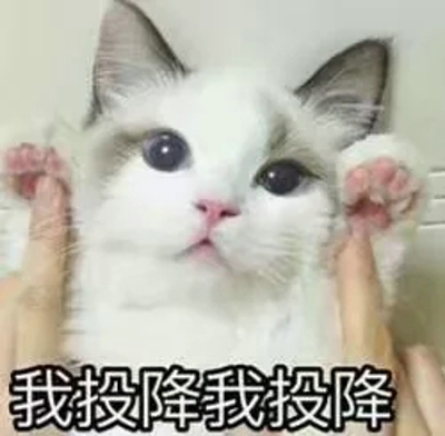 猫咪表情包带字图片大全 猫咪表情包可爱图片