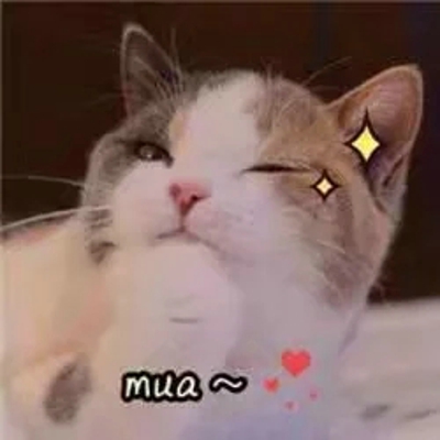 猫咪表情包带字图片大全 猫咪表情包可爱图片