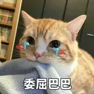 猫咪表情包带字图片大全 猫咪表情包可爱图片
