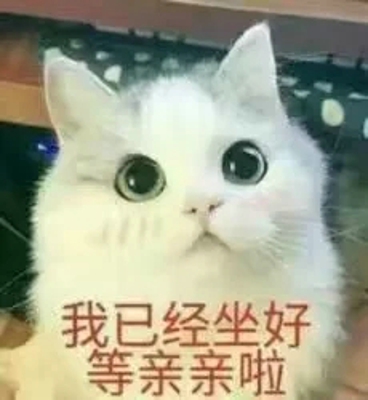 猫咪表情包带字图片大全 猫咪表情包可爱图片