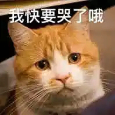 猫咪表情包带字图片大全 猫咪表情包可爱图片