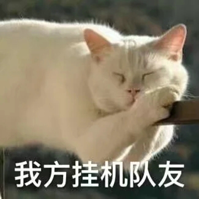 猫咪表情包带字图片大全 猫咪表情包可爱图片
