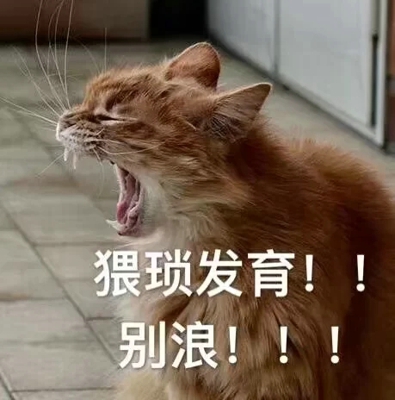 猫咪表情包带字图片大全 猫咪表情包可爱图片