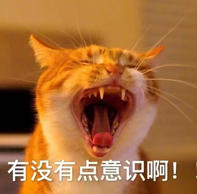 猫咪表情包带字图片大全 猫咪表情包可爱图片