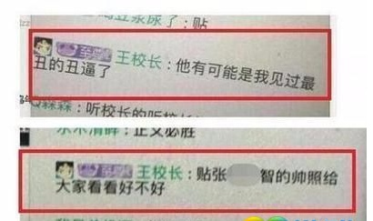 PDD为什么停播了12天 PDD为什么不直播了