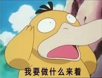 可达鸭日常工作表情包 可达鸭工作表情包分享