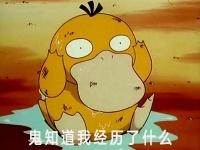 可达鸭日常工作表情包 可达鸭工作表情包分享