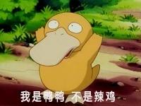 可达鸭日常工作表情包 可达鸭工作表情包分享