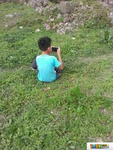 杭州老师发文怒怼王者荣耀详情 杭州老师为什么发文怒怼王者荣耀