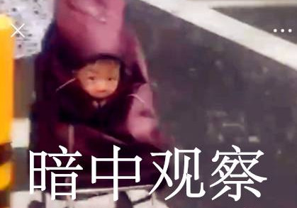 孩子被塞进买菜小车表情包 孩子塞进买菜小车表情包