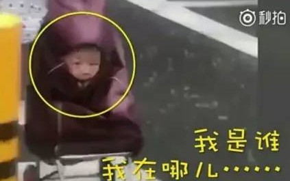 孩子被塞进买菜小车表情包 孩子塞进买菜小车表情包