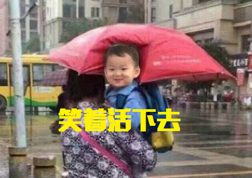 孩子被塞进买菜小车表情包 孩子塞进买菜小车表情包