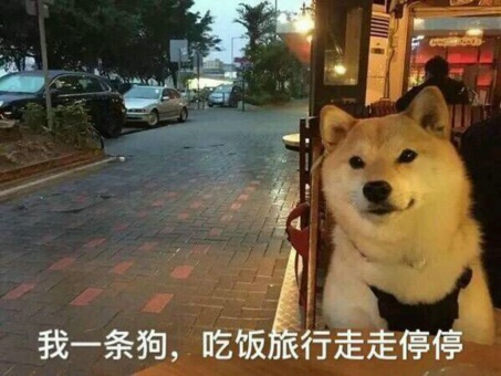 画星星画几个角是什么意思 画星星画四角是什么意思