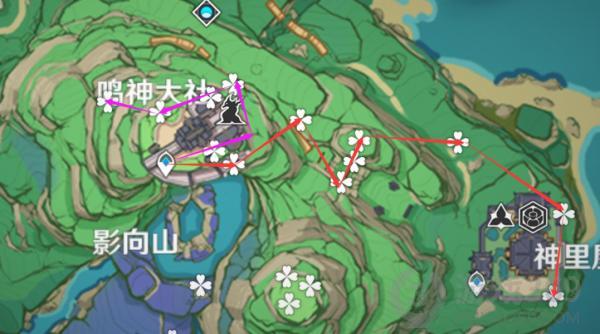 原神绯樱绣球怎么采集 绯樱绣球采集路线