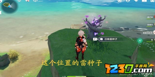原神绯樱绣球怎么采集 原神绯樱绣球采集方法攻略