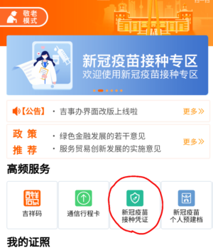怎么查新冠疫苗接种记录凭证 支付宝查询疫苗接种记录凭证