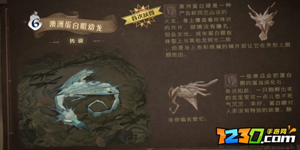 哈利波特魔法觉醒传说卡强度排名T0 最强传说卡牌图鉴标识排名