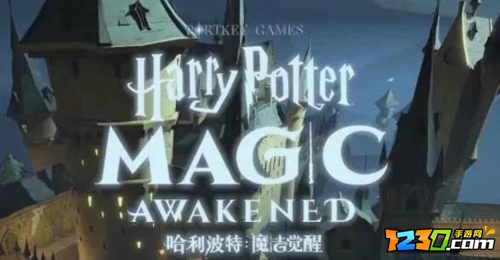 哈利波特魔法觉醒t0流派推荐 哈利波特魔法觉醒最强t0流派卡牌搭配攻略