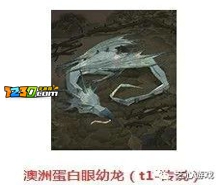 哈利波特魔法觉醒金卡图鉴大全 哈利波特魔法觉醒金卡图鉴汇总分享