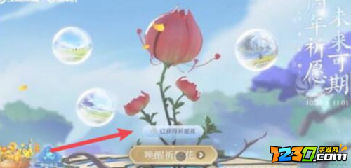 王者荣耀祈愿花怎么用 王者荣耀祈愿活动怎么做