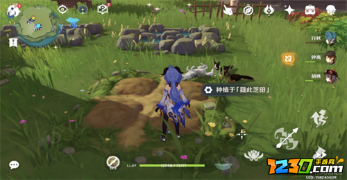 原神梦里生花怎么种花 原神梦里生花种植攻略