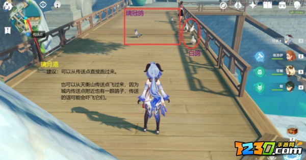 原神动物捕捉位置大全 原神所有动物捕捉位置攻略
