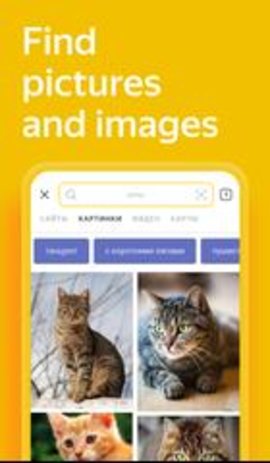 Yandex俄罗斯引擎浏览器_图1
