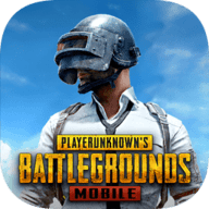 pubg m中文版