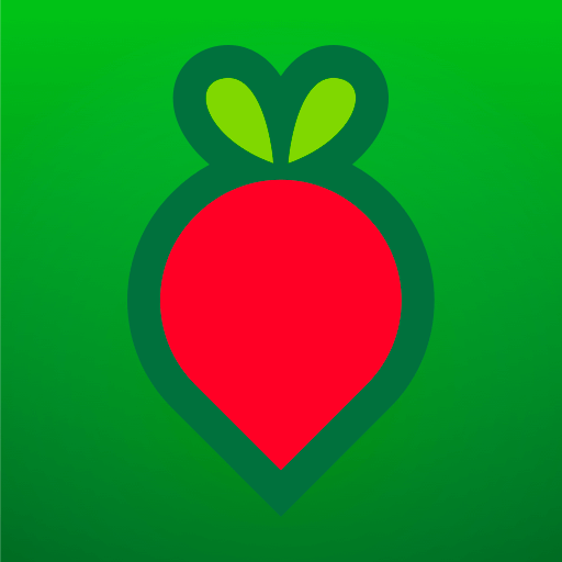 叮咚买菜双11版