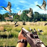 鸭子狩猎挑战(Duck Hunting challenge)